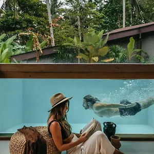 https://casa-pohon-ubud.ubudhotelsnow.com